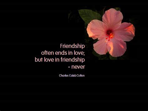 Cute Friendship Quotes, Inspiring Friends Poems, Motivational Friendship Words: Lovable ...