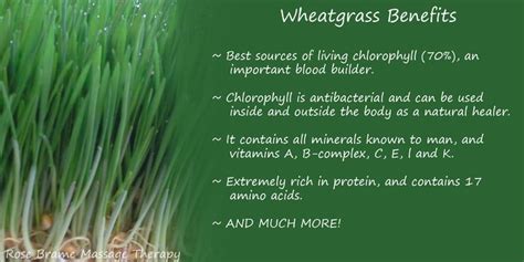 Health Benefits of Wheatgrass | Wheatgrass benefits, Wheat grass ...