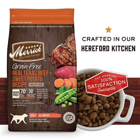 Unleashing the Top 10 Dog Food Brands of the Year: A Must-Read Buying Guide for Pet Parents ...