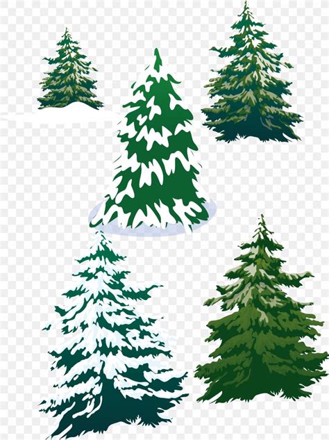 Vector Snowy Pine Trees, PNG, 2558x3420px, Fir, Branch, Cedar, Christmas, Christmas Decoration ...