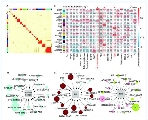 Identification of long non-coding RNA (lncRNA) co-expression modules ...