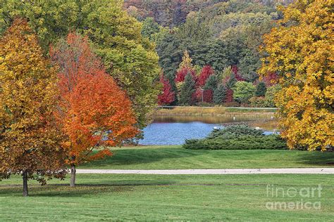 Fall Colors At Morton Arboretum Photograph by Anna Sheradon