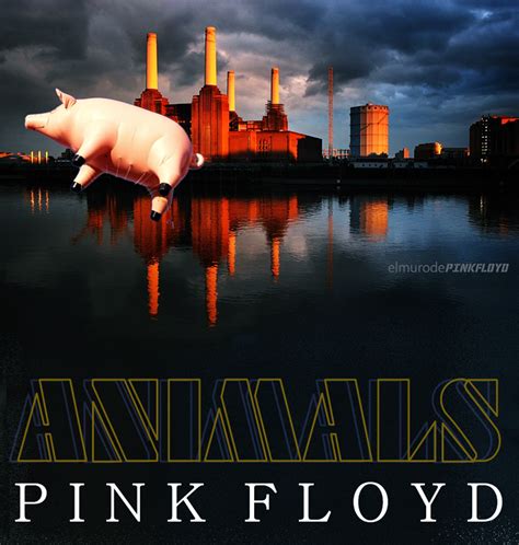 Animals Pink Floyd Full Album Lyrics