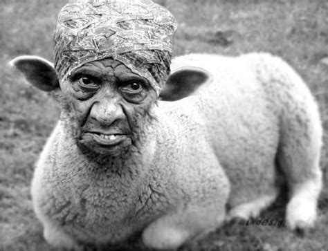 old goat | Creepy pictures, Funny faces pictures, Spongebob funny pictures