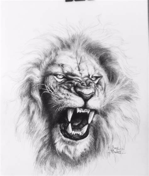 Roaring Lion Design