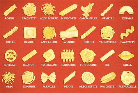 Every Important Italian Noodle, Illustrated | Pasta noodle types, Types of noodles, Pasta noodles