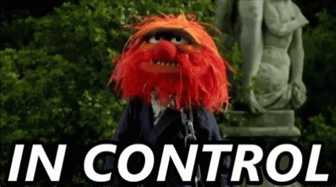 Muppets Animal GIF - Muppets Animal Incontrol - Discover & Share GIFs | Animal muppet, The ...