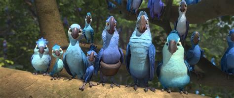 Spix's Macaw Tribe/Gallery | Rio Wiki | FANDOM powered by Wikia