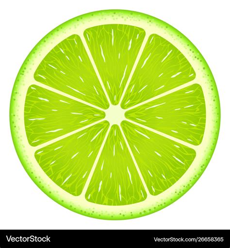 Lime slice clipping path isolated on white Vector Image