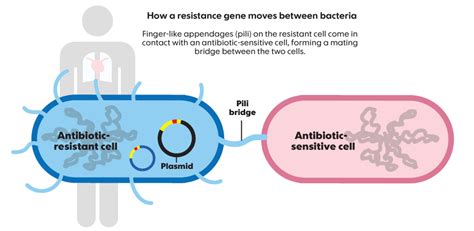 GHS 320 Blog: Antibiotic Resistant Bacteria CRE