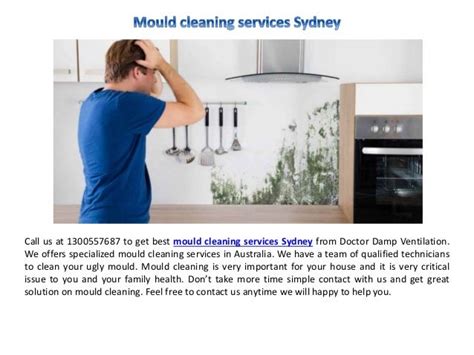 Mould cleaning service