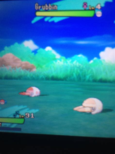 [VII] Shiny Grubbin in 6 encounters! : ShinyPokemon