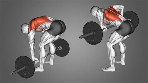 Barbell Pendlay Row: Benefits, Muscles Worked, and More - Inspire US