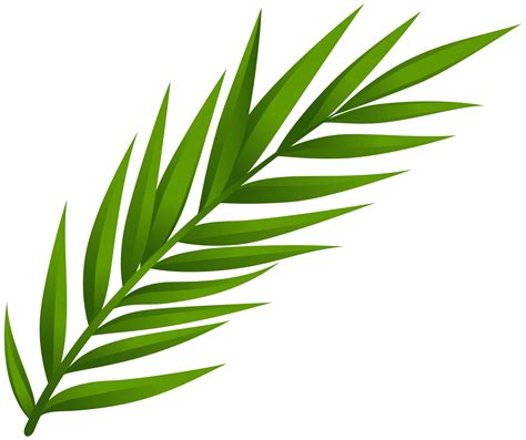 Leaf PNG Clip Art - Best WEB Clipart