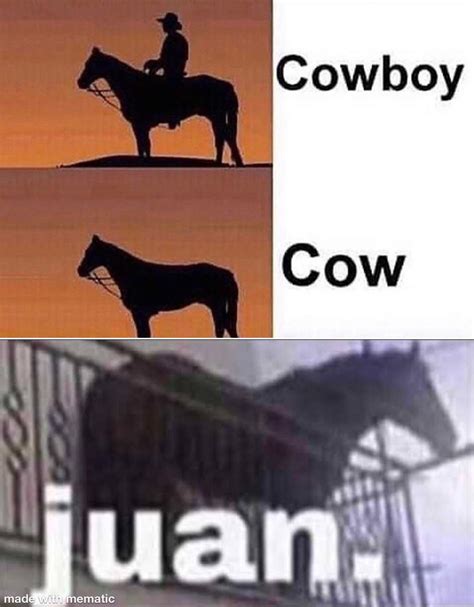 JUAN. : r/meme