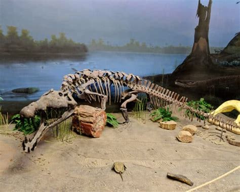 What's the Oldest Crocodile Fossil Ever Found? - A-Z Animals