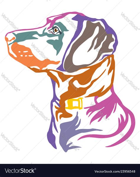 Colorful decorative portrait of dog labrador Vector Image