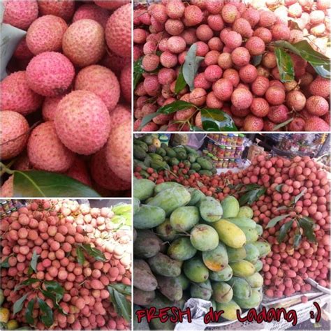 BUAH LAICI SEGAR/LAICY FRUIT 1 KILO | Shopee Malaysia