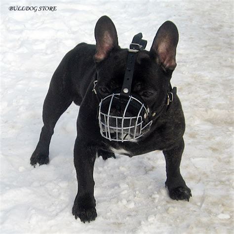 French Bulldog Wire Basket Dog Muzzles Size Chart French Bulldog | Dog Breeds Picture