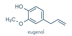 Eugenol sources, health benefits and uses