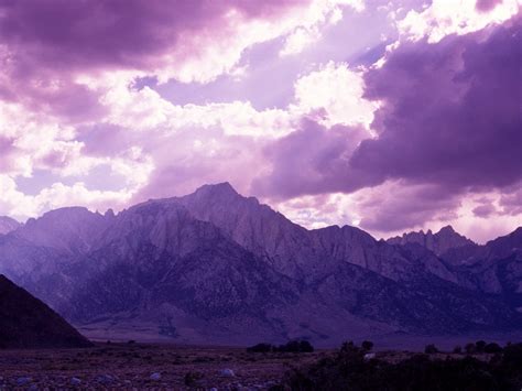 Incredible! | Purple sky, Scenic photos, Welcome to night vale