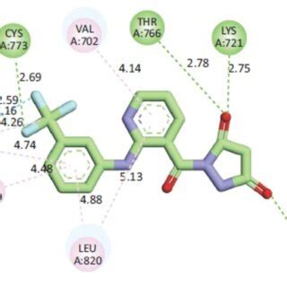 Compound 5 is in the active pocket of EGFR tyrosine kinase. This can be... | Download Scientific ...