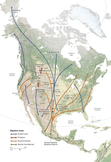 North American Species Migration Map