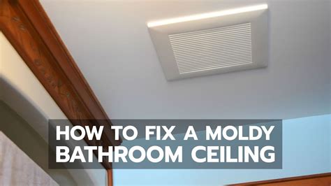 How To Treat Bathroom Mold Before Painting - Artcomcrea