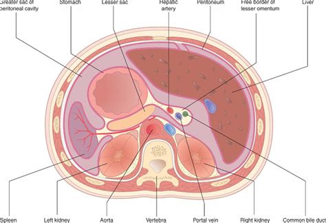 Retroperitoneal bleed causes, symptoms, diagnosis & treatment