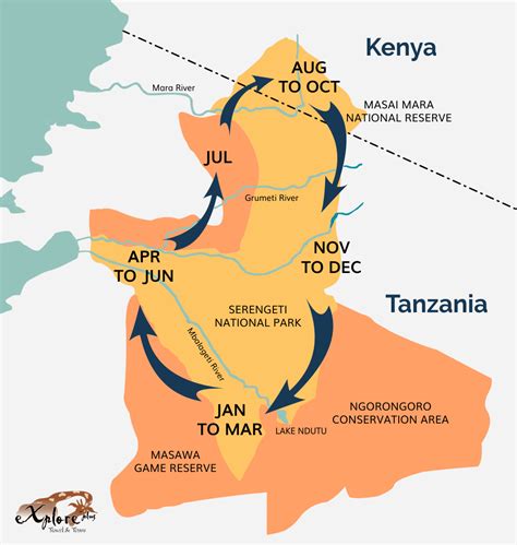 Wildebeest Migration Safari Kenya Travel and Tours