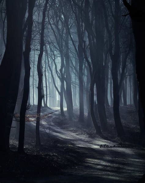 Trail in a dark, mysterious forest (no location given) by burning-liquid on DeviantArt cr.🌫 Dark ...