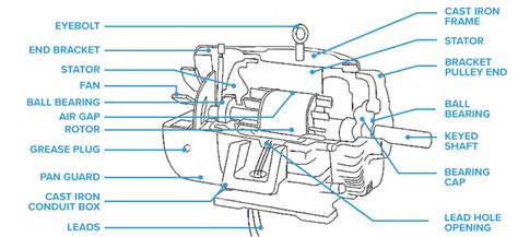 Dayton Electric Motor Parts Diagram | Reviewmotors.co