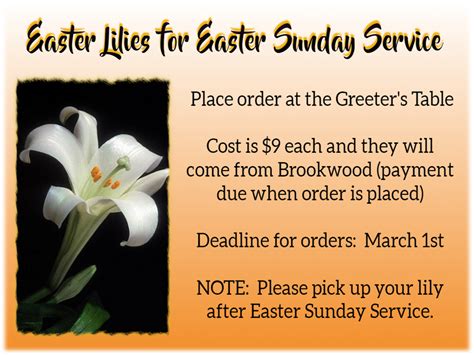 Order Your EASTER LILIES! – LifeBridge Community Church