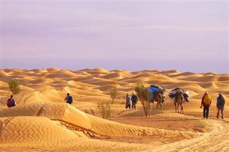 Sahara Desert (Tunisia, Africa): from US$47 - Top Tips Before You Go - TripAdvisor