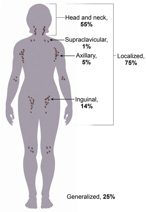 Which Area Of The Arm Drains To The Epitrochlear Nodes - Best Drain ...