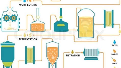 Brewing; beer production process - Online Biology Notes