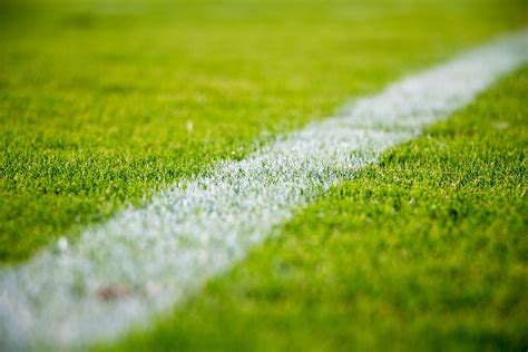 grass, Soccer Field Wallpapers HD / Desktop and Mobile Backgrounds