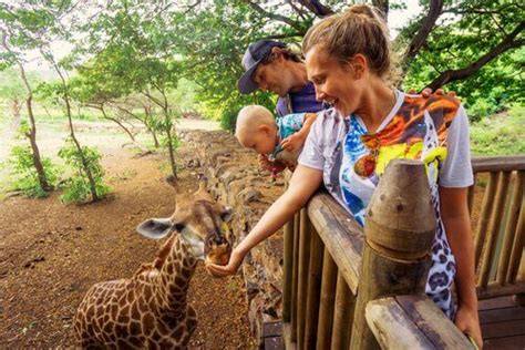 Feeding Animals at the Zoo Could Poison Them - My Animals