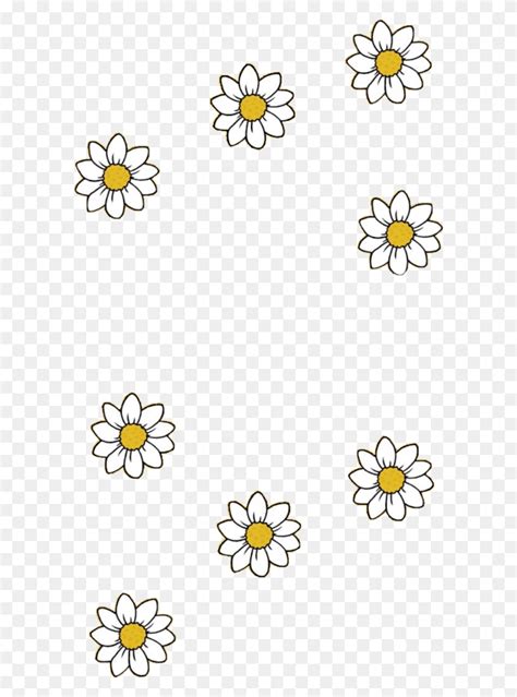 Yellow Vector Clipart Floral Design Flower Photography, Graphics, Pattern HD PNG Download ...