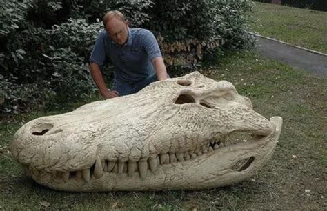 Purussaurus, probably the biggest crocodile ever : r/nextfuckinglevel