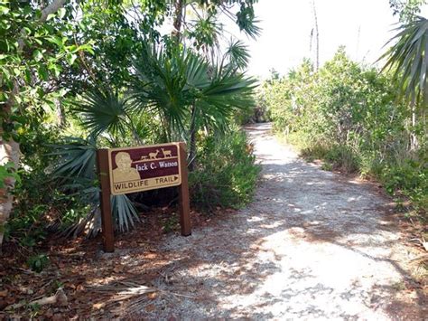 National Key Deer Refuge (Big Pine Key, FL): Top Tips Before You Go (with Photos) - TripAdvisor