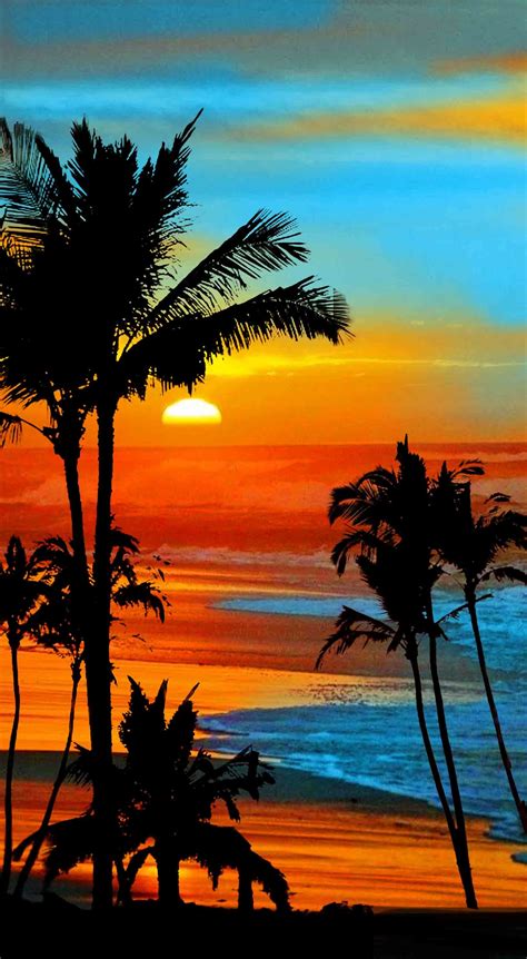 Sunset Beach Hawaii Palm Tree : Free photo: Sunset, Hawaii, Oahu - Free Image on Pixabay ...