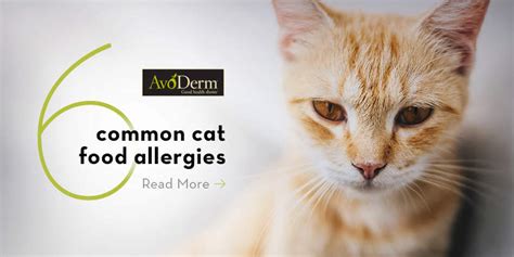 The 6 Most Common Food Allergies in Cats - AvoDerm