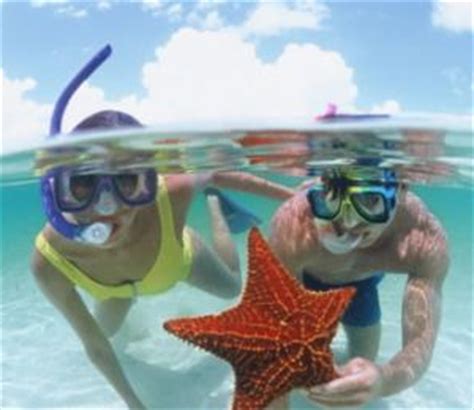 Snorkeling in the Bahamas | Bahamas Snorkeling Tours