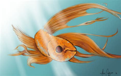 Orange Betta Fish by AlexCoetzee on DeviantArt