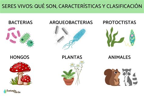 Biologia Y Geologia O Eso Clasificacion De Los Seres Vivos Images | The Best Porn Website