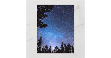 Forest Star Gazing An Astronomy Delight Postcard | Zazzle