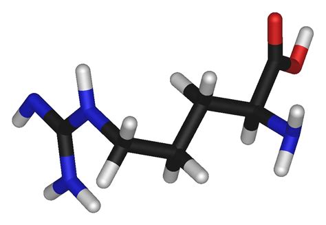 Arginine - wikidoc