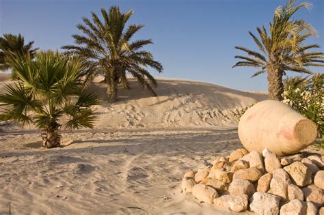 Desert Oasis stock image. Image of holiday, land, destinations - 2880511