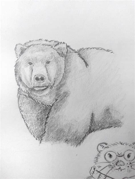 Another Wild Animal Pencil Sketch Bear Pencil - GranNino